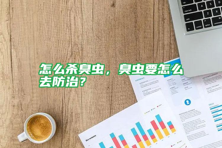 怎么殺臭蟲，臭蟲要怎么去防治？