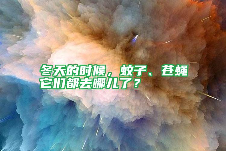 冬天的時(shí)候,蚊子、蒼蠅它們都去哪兒了?