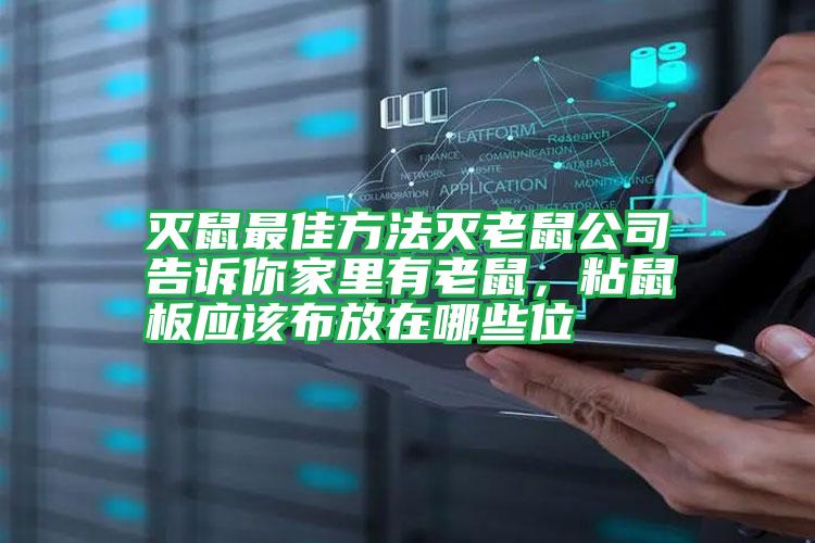 滅鼠最佳方法滅老鼠公司告訴你家里有老鼠,粘鼠板應(yīng)該布放在哪些位