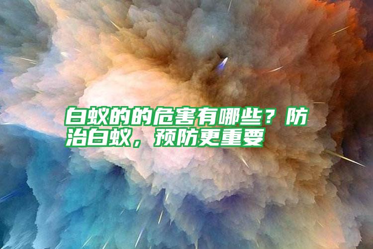 白蟻的的危害有哪些?防治白蟻,預(yù)防更重要