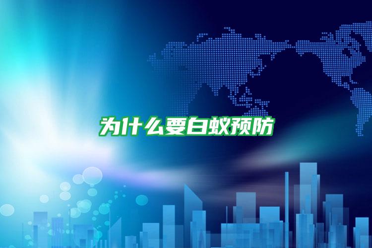 為什么要白蟻預防