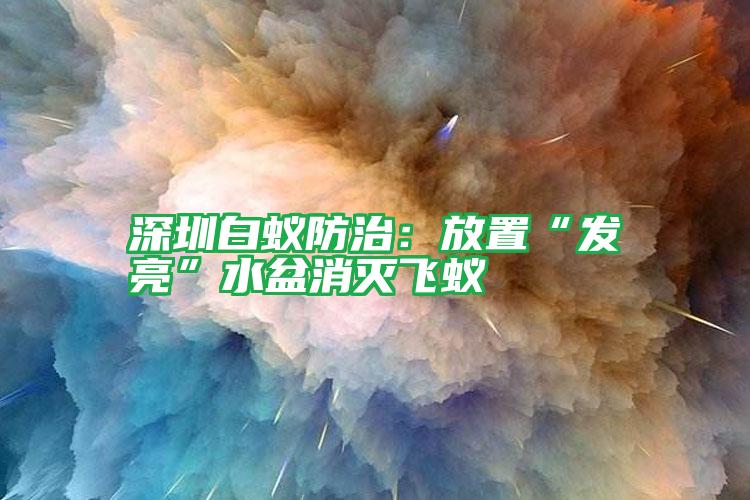 深圳白蟻防治:放置“發(fā)亮”水盆消滅飛蟻