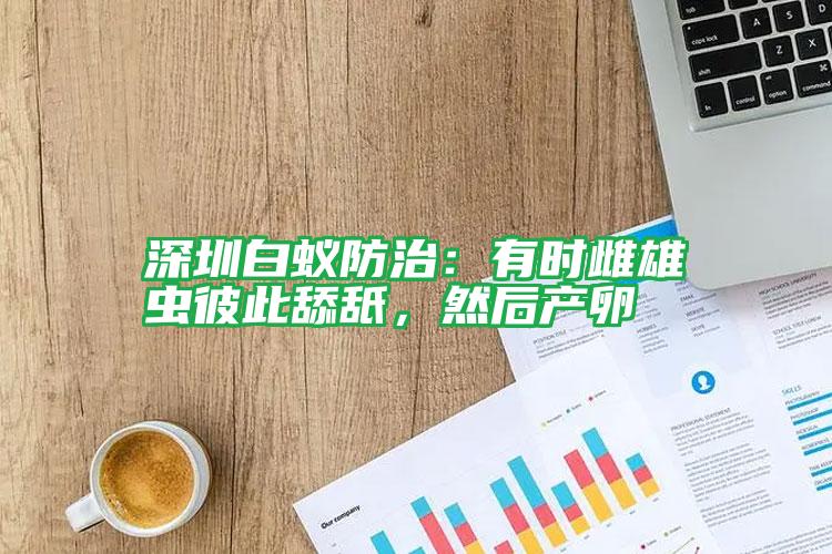 深圳白蟻防治:有時(shí)雌雄蟲(chóng)彼此舔舐,然后產(chǎn)卵
