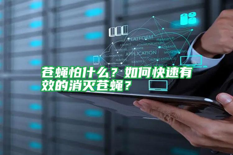 蒼蠅怕什么?如何快速有效的消滅蒼蠅?
