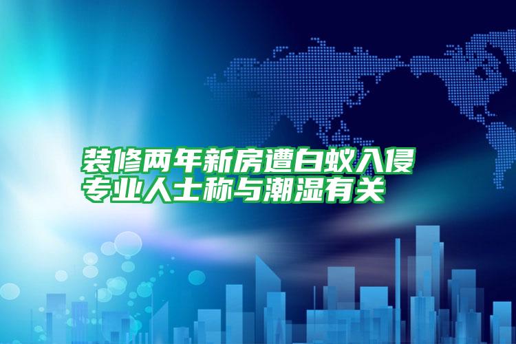 裝修兩年新房遭白蟻入侵 專業(yè)人士稱與潮濕有關