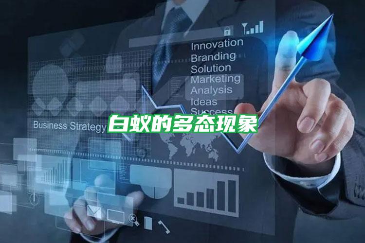 白蟻的多態(tài)現(xiàn)象