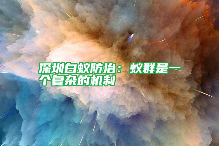 深圳白蟻防治:蟻群是一個復(fù)雜的機(jī)制