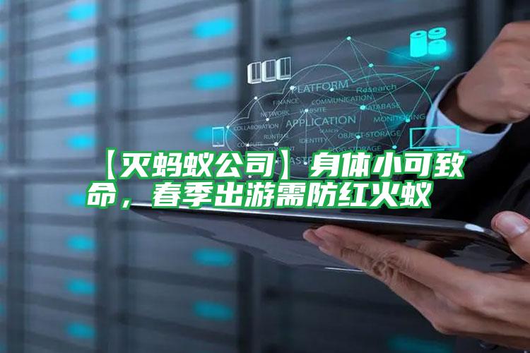 【滅螞蟻公司】身體小可致命,春季出游需防紅火蟻