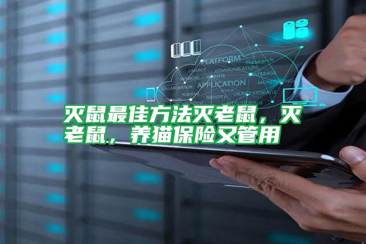 滅鼠最佳方法滅老鼠,滅老鼠,養(yǎng)貓保險(xiǎn)又管用