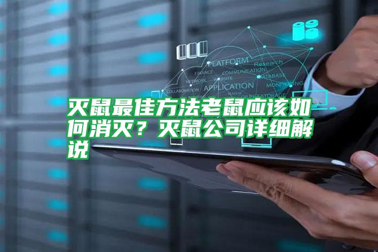滅鼠最佳方法老鼠應(yīng)該如何消滅?滅鼠公司詳細(xì)解說(shuō)