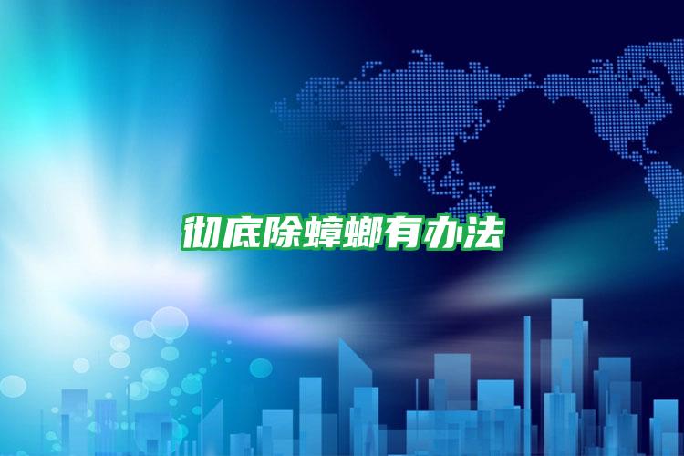 徹底除蟑螂有辦法