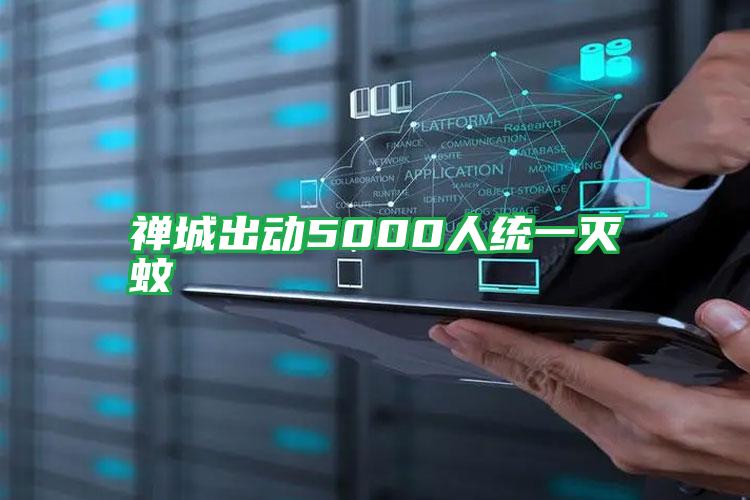 禪城出動5000人統(tǒng)一滅蚊