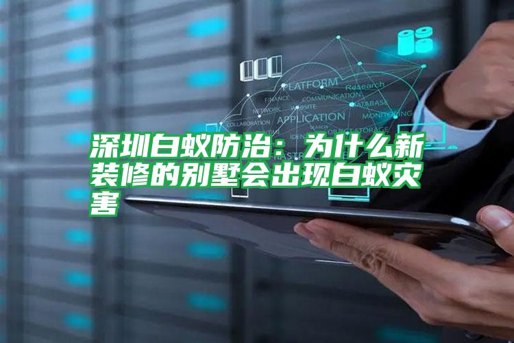 深圳白蟻防治:為什么新裝修的別墅會(huì)出現(xiàn)白蟻災(zāi)害