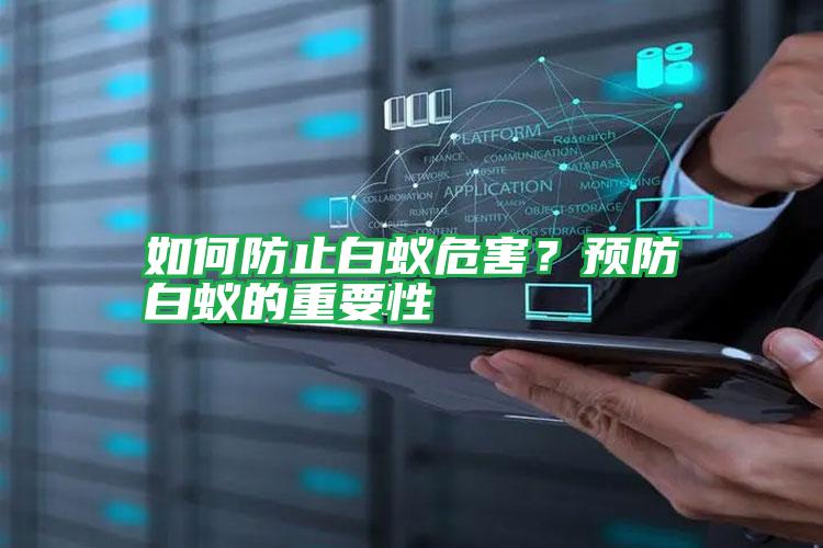 如何防止白蟻危害？預(yù)防白蟻的重要性