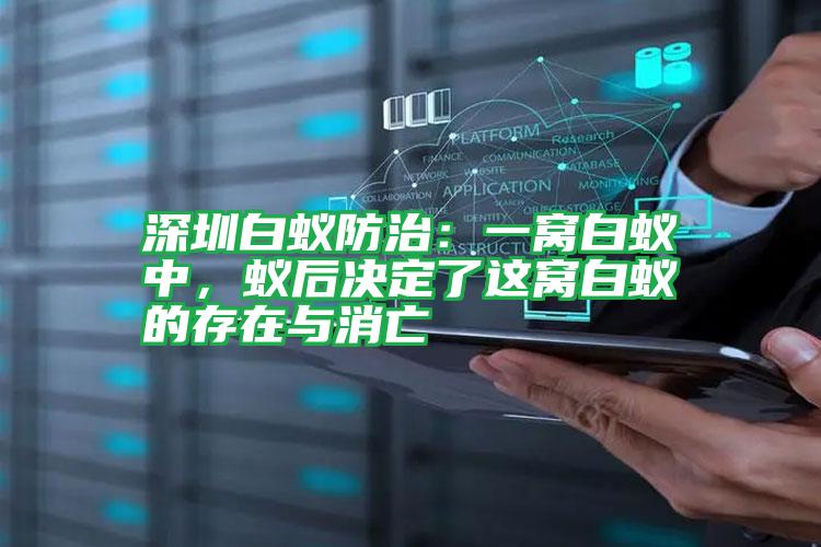 深圳白蟻防治:一窩白蟻中,蟻后決定了這窩白蟻的存在與消亡