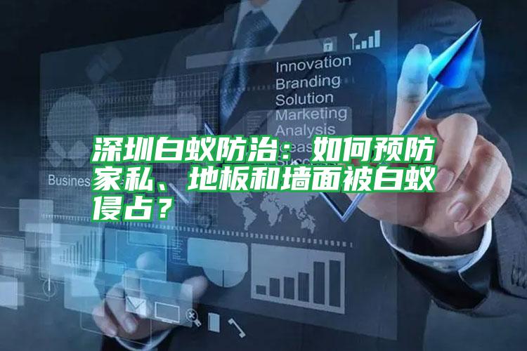 深圳白蟻防治:如何預(yù)防家私、地板和墻面被白蟻侵占?