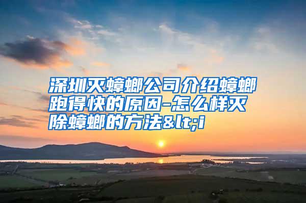 深圳滅蟑螂公司介紹蟑螂跑得快的原因-怎么樣滅除蟑螂的方法<i