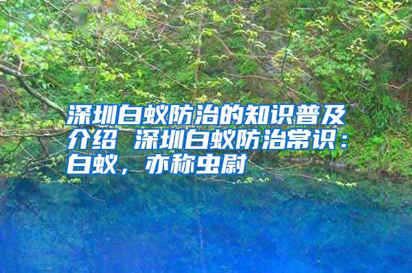 深圳白蟻防治的知識普及介紹 深圳白蟻防治常識：白蟻，亦稱蟲尉