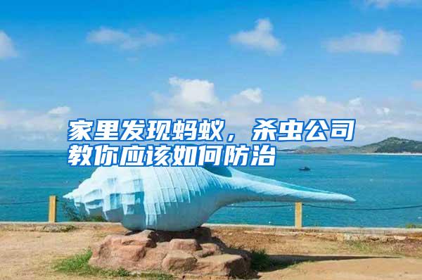 家里發(fā)現(xiàn)螞蟻,殺蟲(chóng)公司教你應(yīng)該如何防治