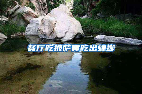 餐廳吃披薩竟吃出蟑螂