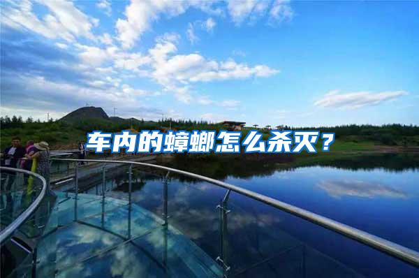 車內(nèi)的蟑螂怎么殺滅？