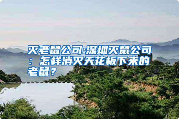 滅老鼠公司:深圳滅鼠公司:怎樣消滅天花板下來的老鼠?
