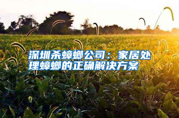 深圳殺蟑螂公司:家居處理蟑螂的正確解決方案