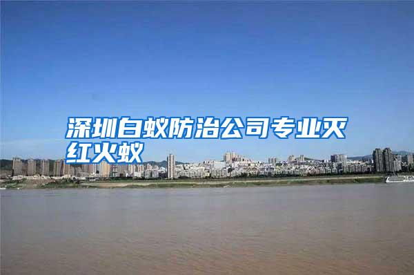 深圳白蟻防治公司專業(yè)滅紅火蟻