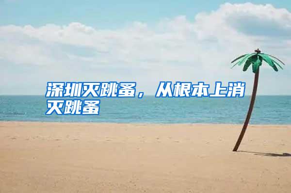 深圳滅跳蚤,從根本上消滅跳蚤
