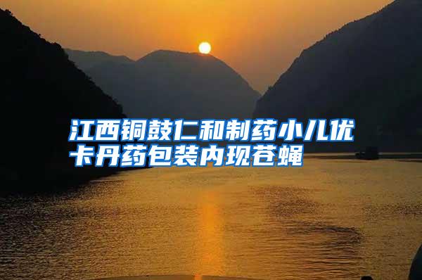 江西銅鼓仁和制藥小兒優(yōu)卡丹藥包裝內(nèi)現(xiàn)蒼蠅