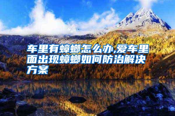 車里有蟑螂怎么辦,愛車里面出現(xiàn)蟑螂如何防治解決方案