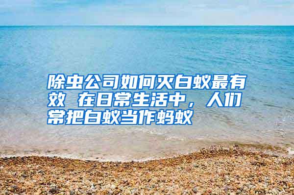 除蟲(chóng)公司如何滅白蟻?zhàn)钣行?在日常生活中,人們常把白蟻當(dāng)作螞蟻