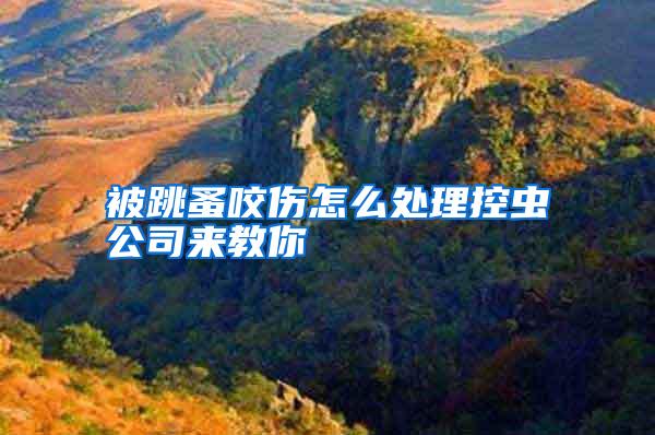 被跳蚤咬傷怎么處理控蟲公司來教你