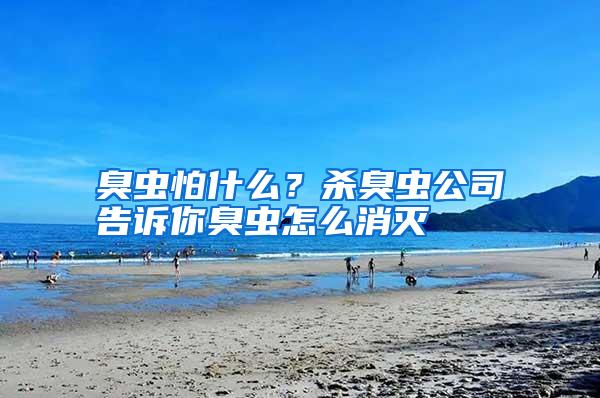 臭蟲(chóng)怕什么?殺臭蟲(chóng)公司告訴你臭蟲(chóng)怎么消滅
