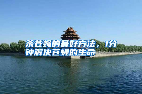 殺蒼蠅的最好方法,1分鐘解決蒼蠅的生命