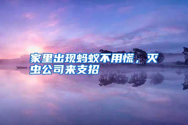 家里出現(xiàn)螞蟻不用慌,滅蟲公司來支招