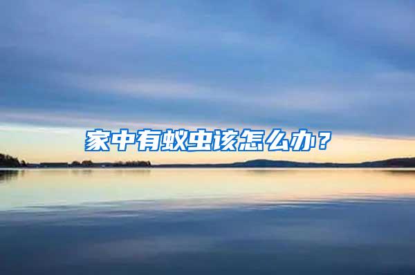 家中有蟻蟲該怎么辦?