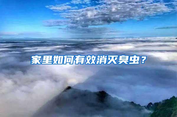 家里如何有效消滅臭蟲？