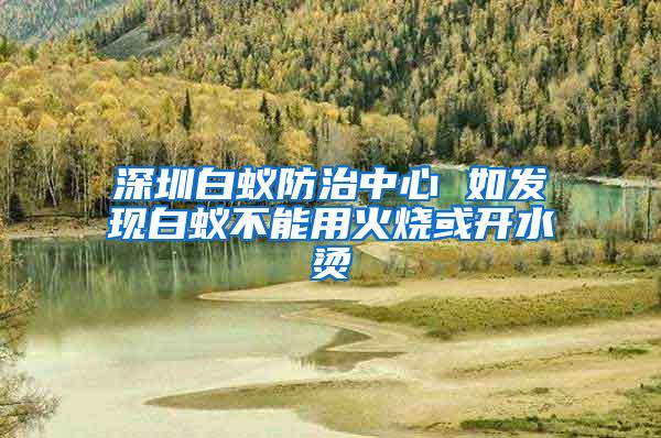 深圳白蟻防治中心 如發(fā)現(xiàn)白蟻不能用火燒或開水燙