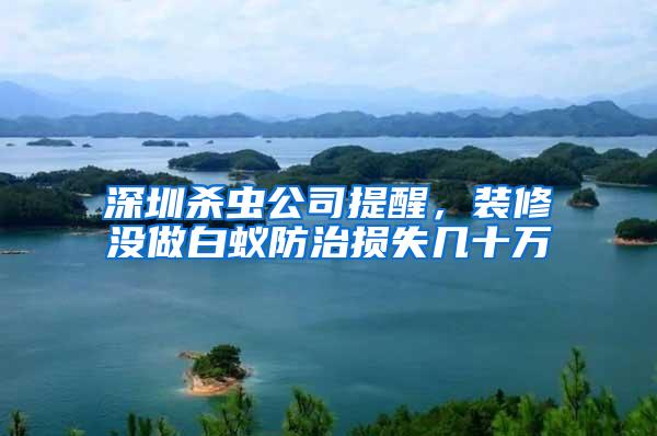 深圳殺蟲公司提醒，裝修沒做白蟻防治損失幾十萬