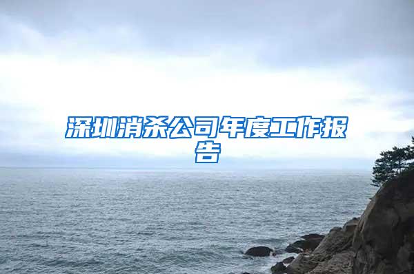 深圳消殺公司年度工作報(bào)告