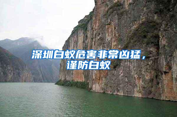 深圳白蟻危害非常兇猛，謹(jǐn)防白蟻