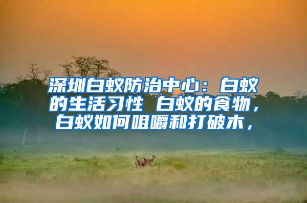 深圳白蟻防治中心：白蟻的生活習(xí)性 白蟻的食物，白蟻如何咀嚼和打破木，