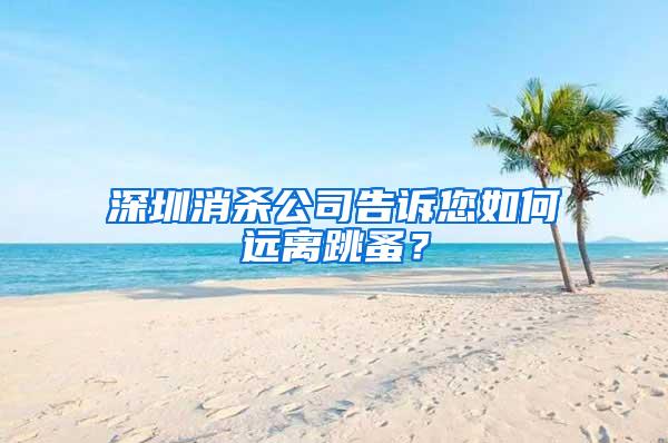 深圳消殺公司告訴您如何遠離跳蚤？