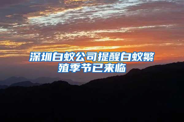 深圳白蟻公司提醒白蟻繁殖季節(jié)已來臨