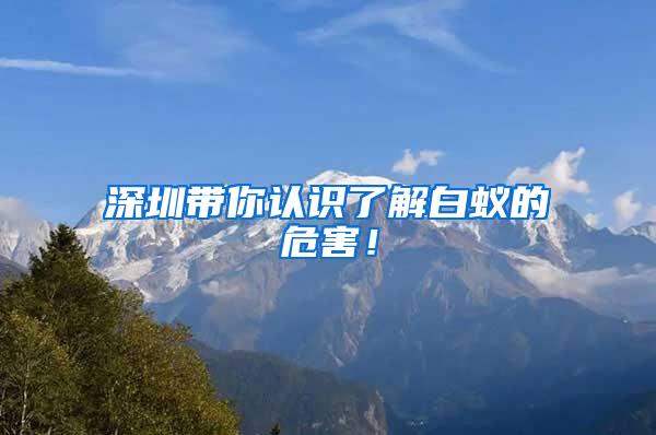 深圳帶你認(rèn)識(shí)了解白蟻的危害！