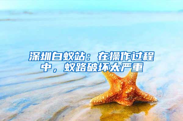 深圳白蟻站：在操作過(guò)程中，蟻路破壞太嚴(yán)重