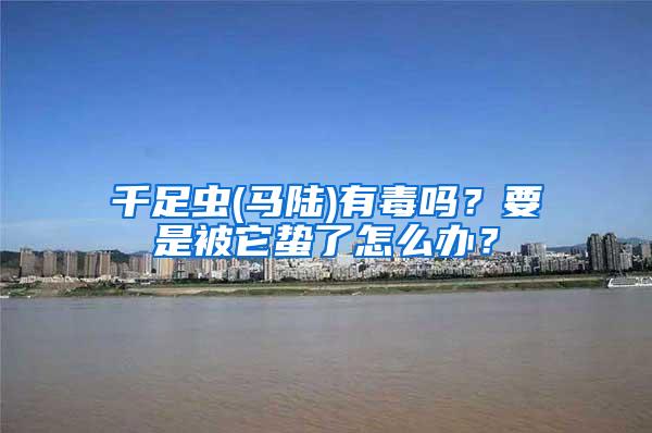 千足蟲(馬陸)有毒嗎？要是被它蟄了怎么辦？