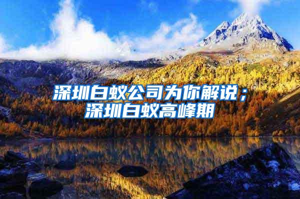 深圳白蟻公司為你解說；深圳白蟻高峰期