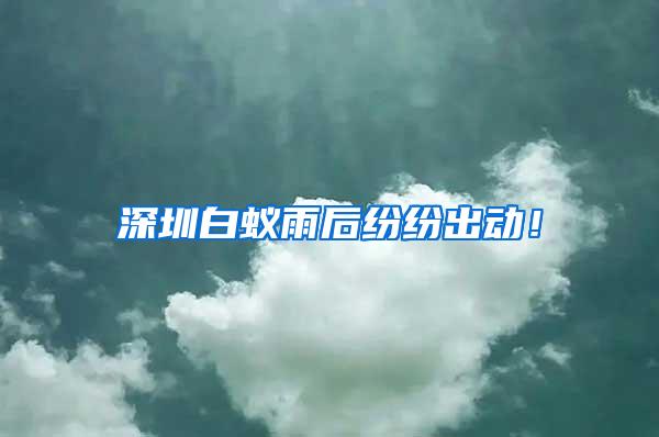 深圳白蟻雨后紛紛出動(dòng)！